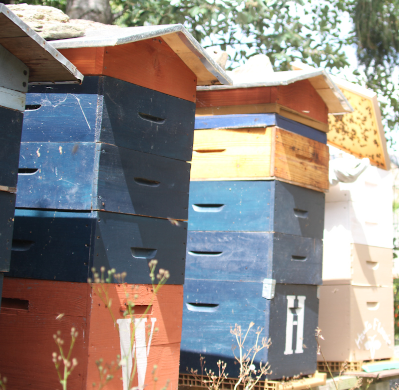 Les ruches pour nos abeilles à la Haute Flourie à Saint-Servan, Saint-Malo